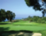 Stay-&-Play at Torrey Pines