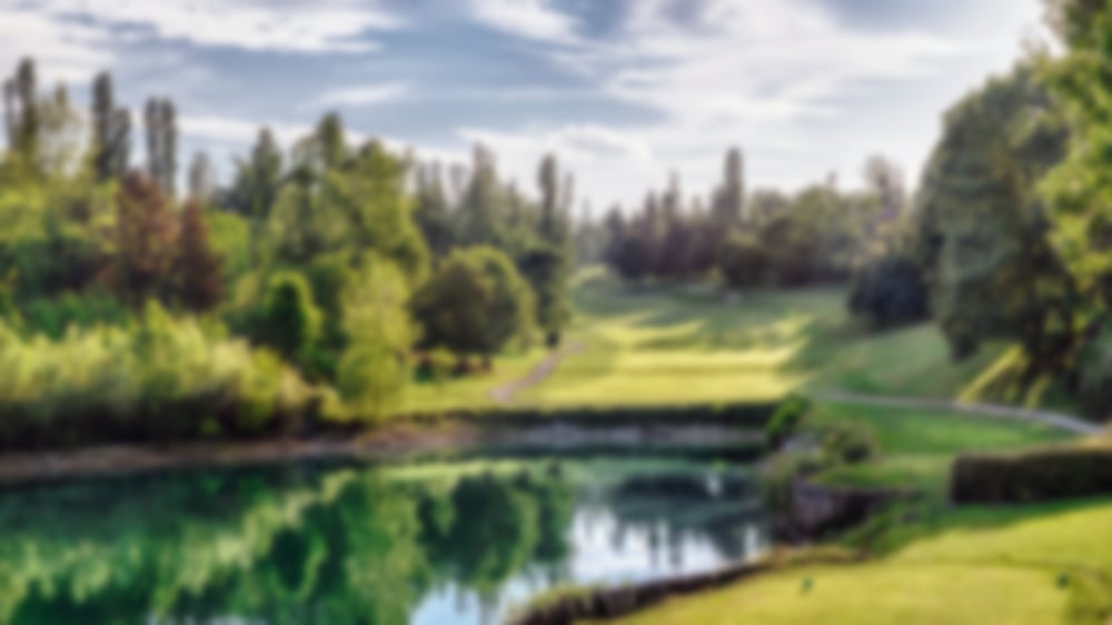 Woodland setting with blue skies and calming water feature