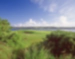 Golf course - cork-golf-club : 58465-copy