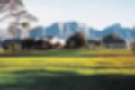 Golf course - royal-cape : golfcourseroyalcape41