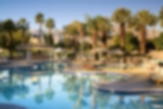 Venue - the-westin-mission-hills-golf-resort-and-spa : brisas-pool-copy