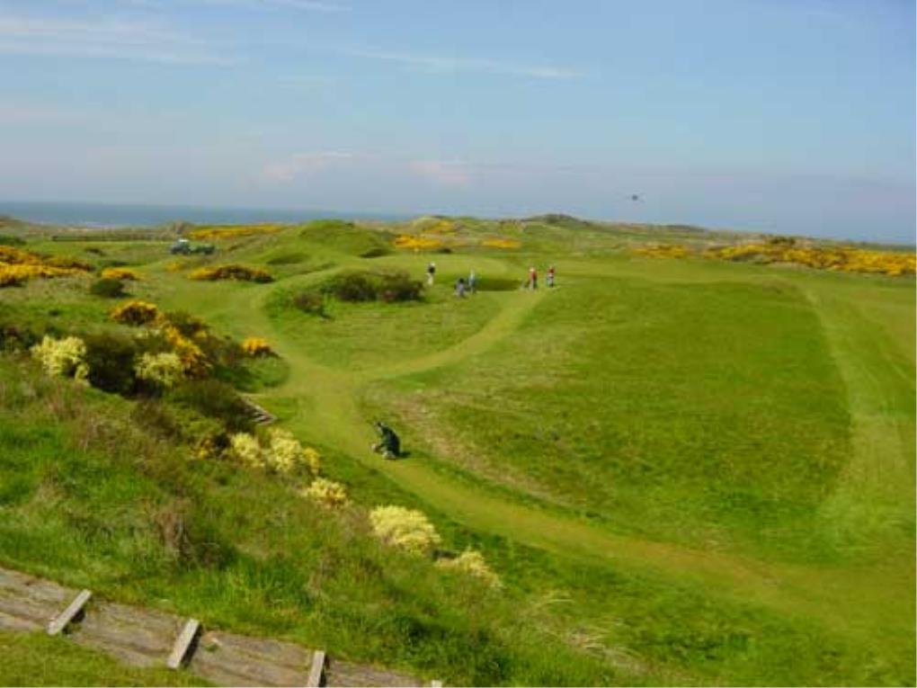 RoyalTroon8FromTee