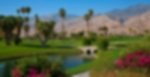 Palm Springs Golf Tour