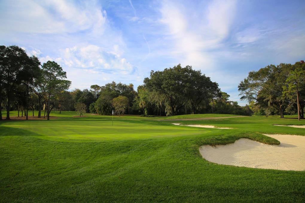 Stunning green with green side bunkers providing a tough challenge 