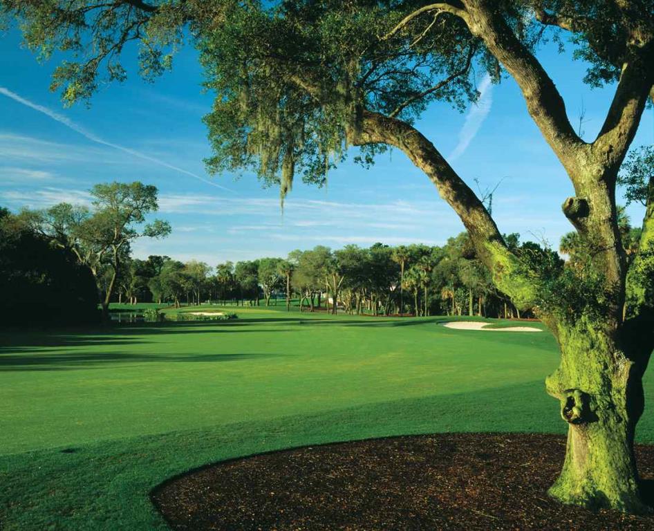 Golf course - turtle-point-course-kiawah-island : turtlepoint91
