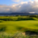 The amazing tricky greens of Dooks Golf Course