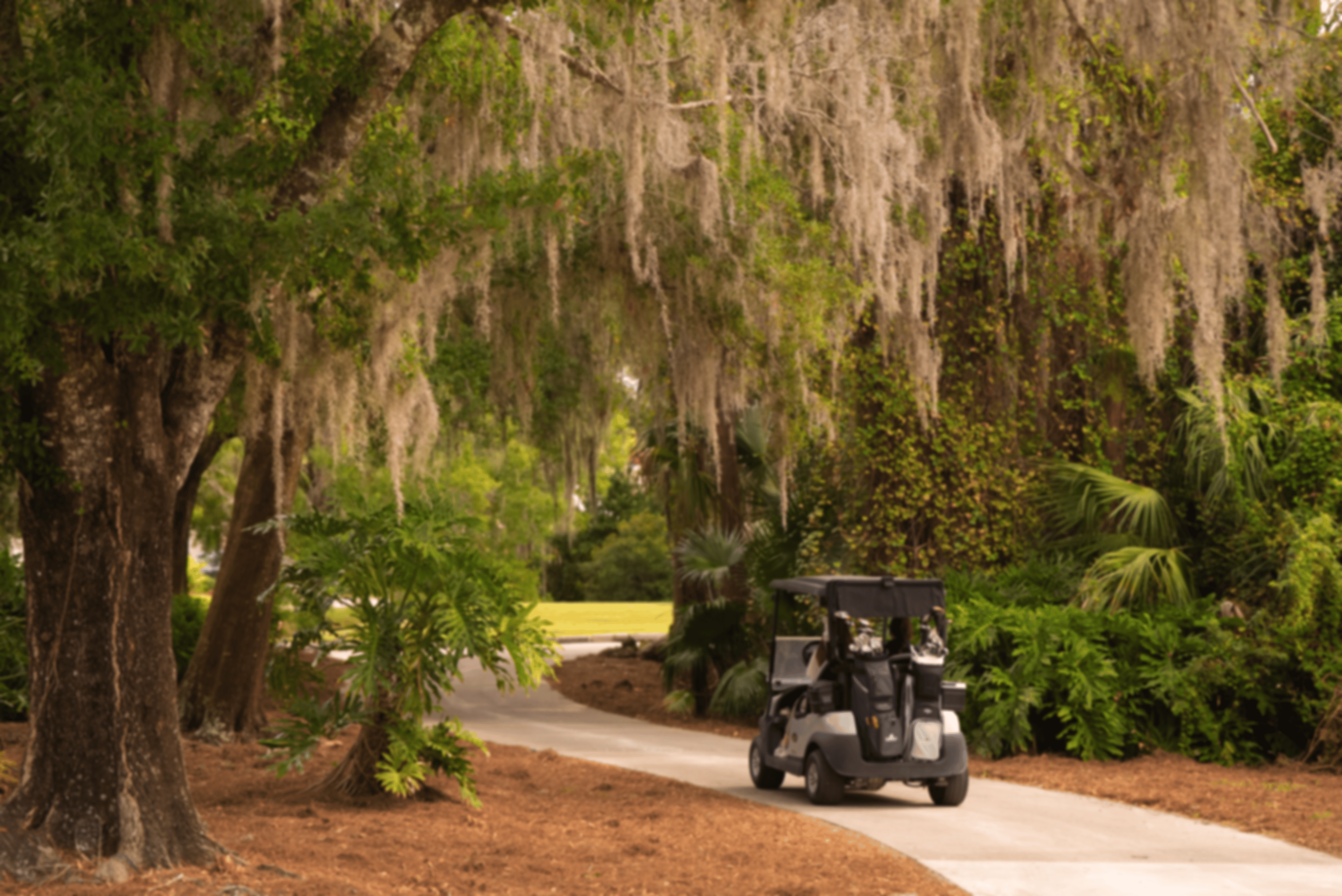 Saddlebrook resort golf