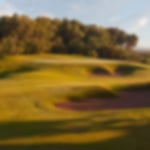 Green fairway with bunkers to the right and one guarding the green. Thick trees are behind the green.