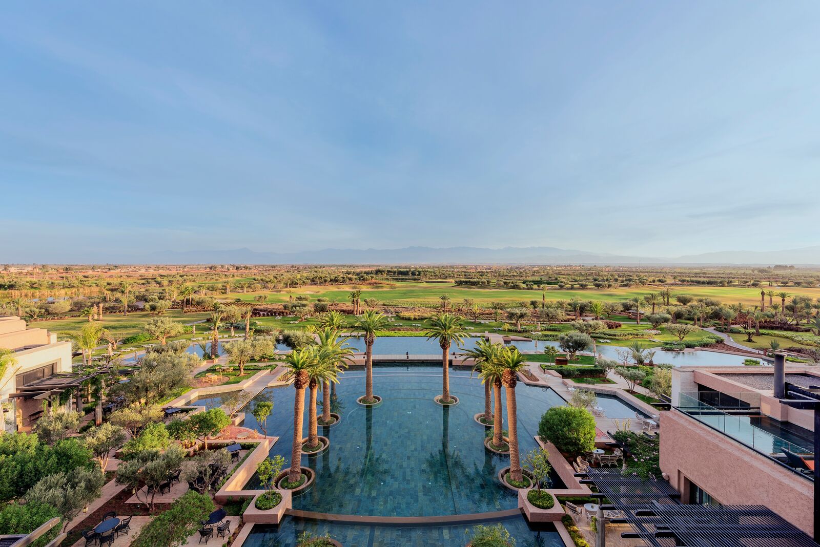 Large-royal-palm-morocco-view.jpg