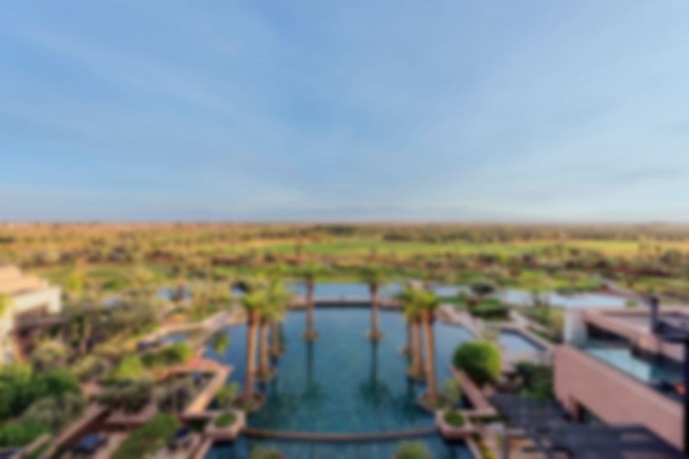 Large-royal-palm-morocco-view.jpg