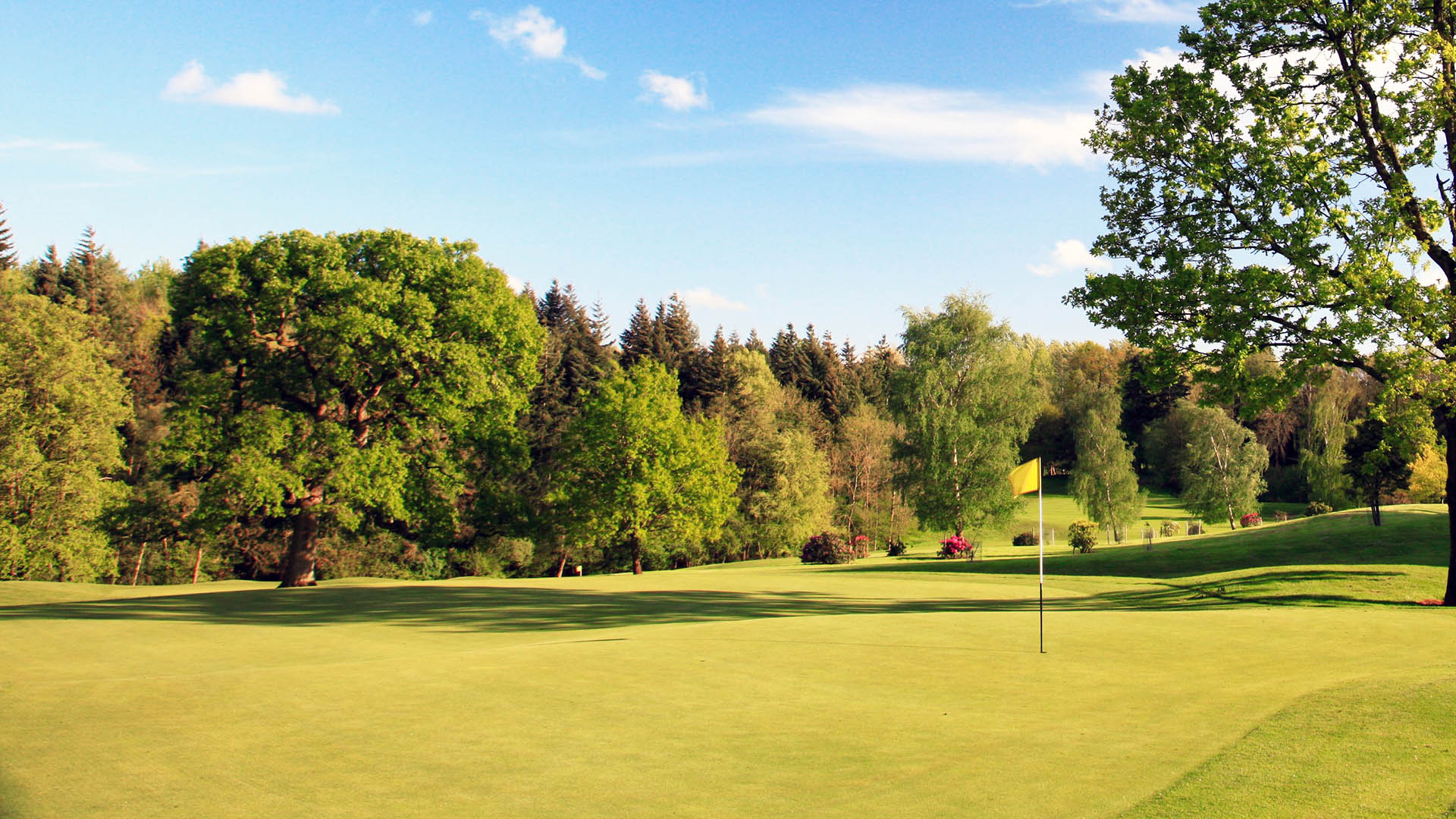 Tree surrounded fairway with pristine green