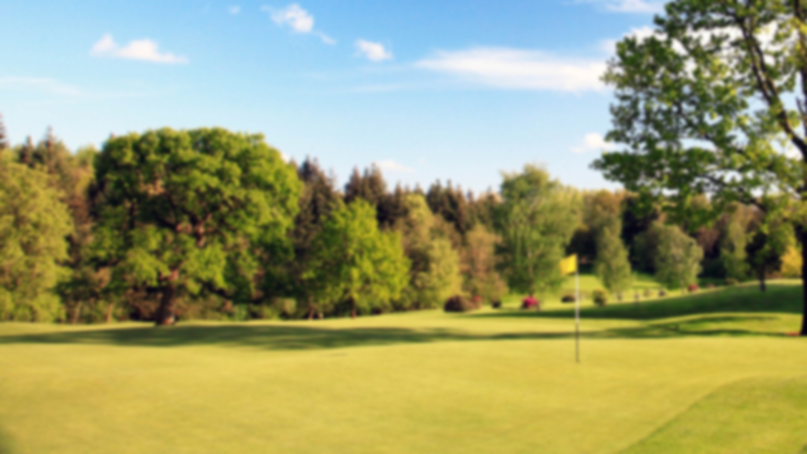 Tree surrounded fairway with pristine green