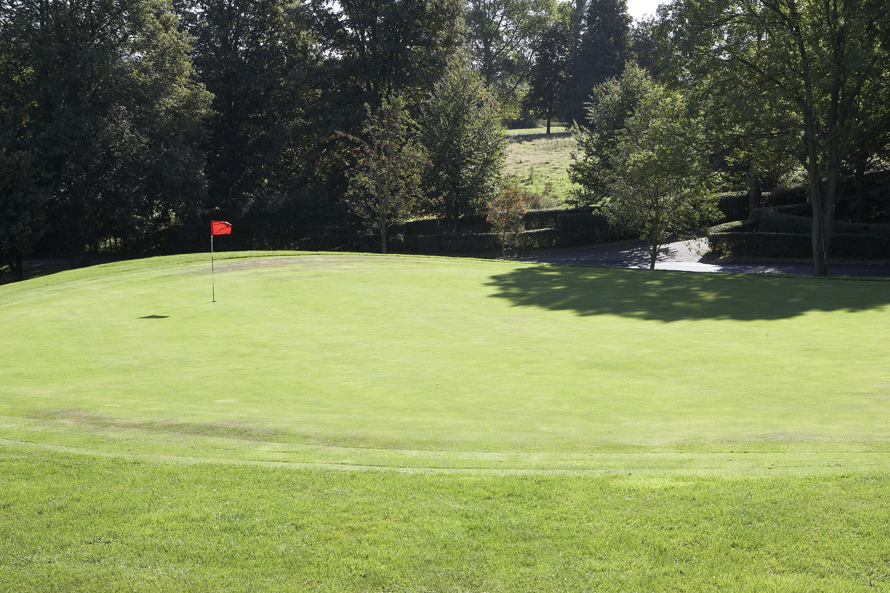 Shendish Manor Golf Course