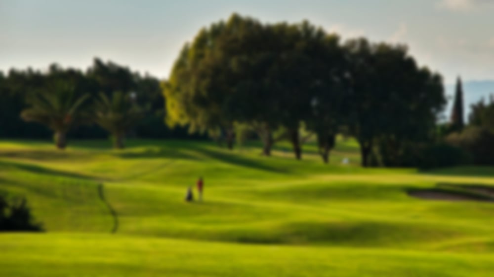 Trees next to the green at Golf Citrus at Hammamet