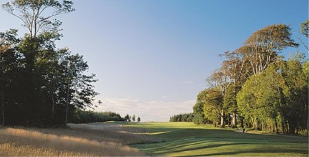 Venue - dromoland-castle : 4th