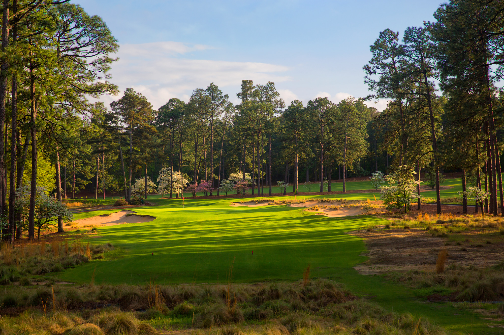 Mid-pines-golf-club-1.jpg