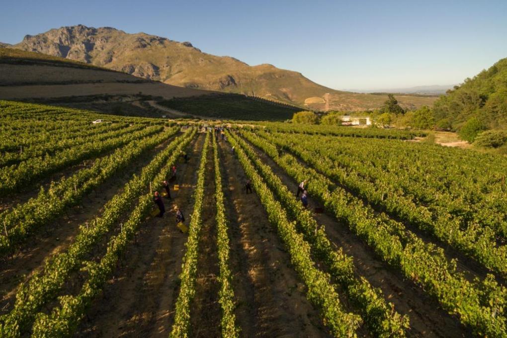 Venue - vineyard-at-lanzerac