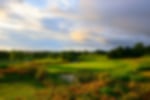 The Wales National Course