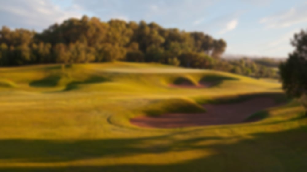 Green fairway with bunkers to the right and one guarding the green. Thick trees are behind the green.