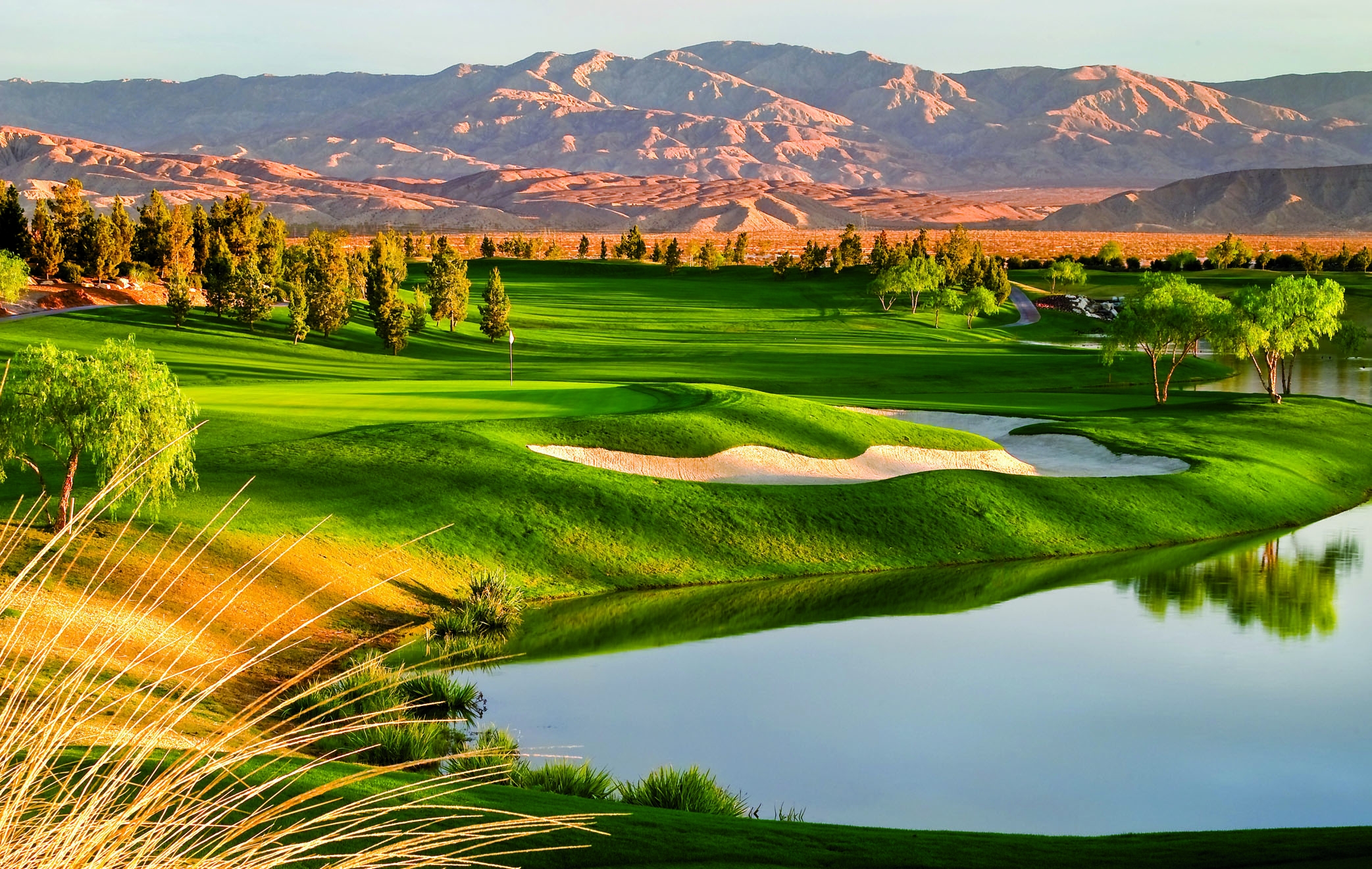 Palm Springs Golf Tour