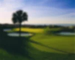 14th Hole, Turtle Point