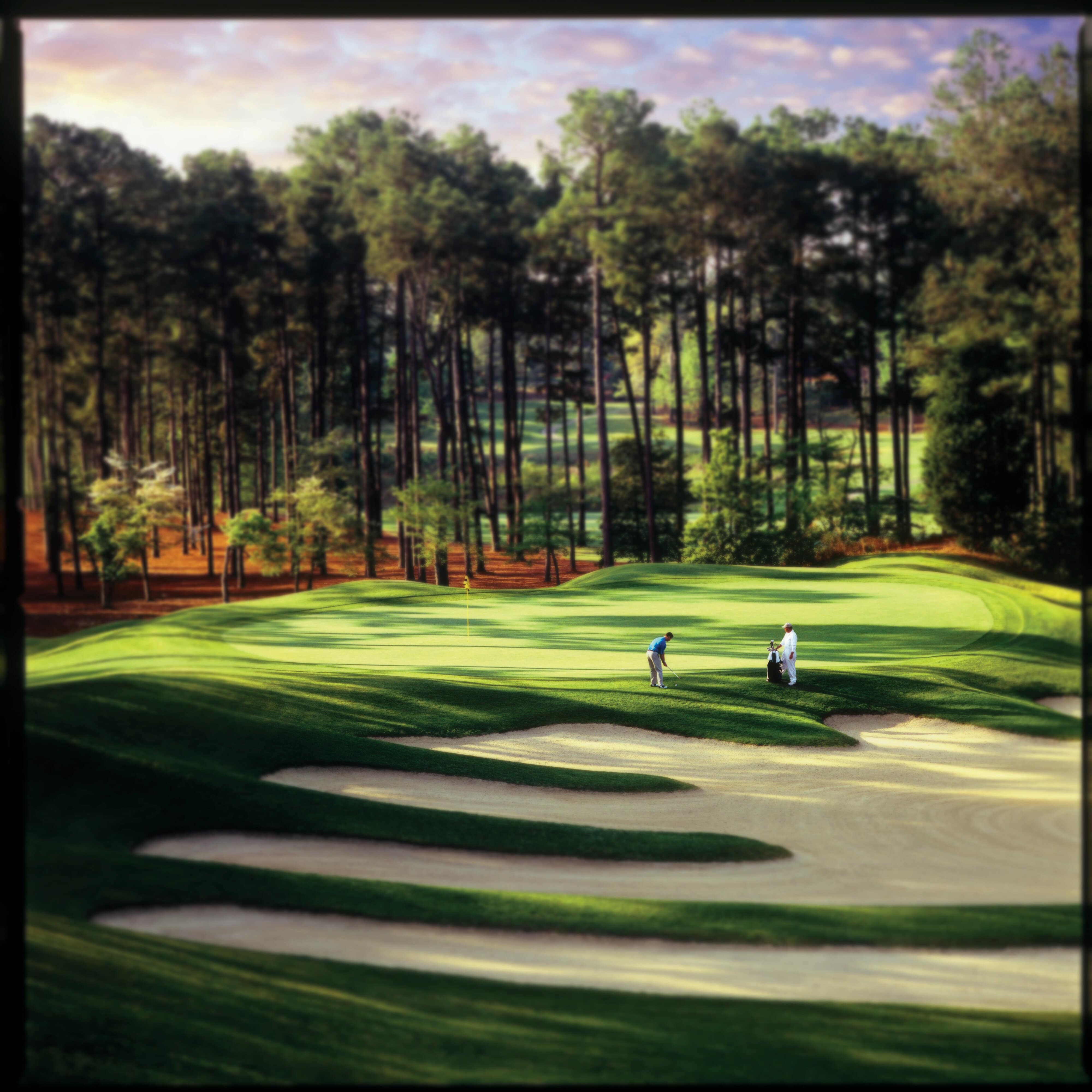 Pinehurst - No 7