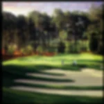 Pinehurst - No 7