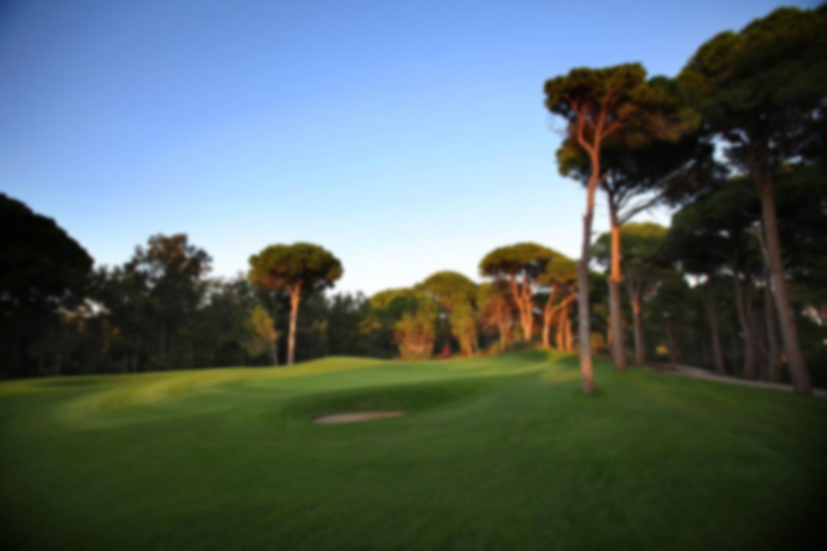 Sun begins to set creating amazing look around the 16th green with half the trees in darkness and half still baking in the light 