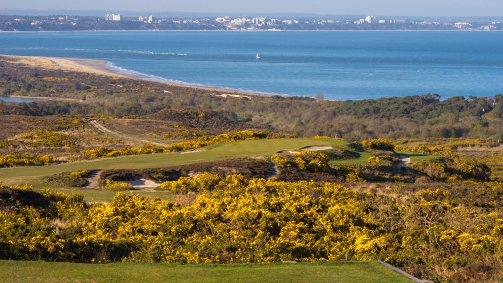 Isle of Purbeck Golf Club