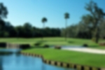 Sawgrass Marriott Golf Resort & Spa