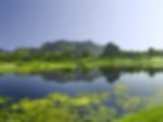 Venue - fancourt-hotel : 15th-at-the-outeniqua-course-fancourt