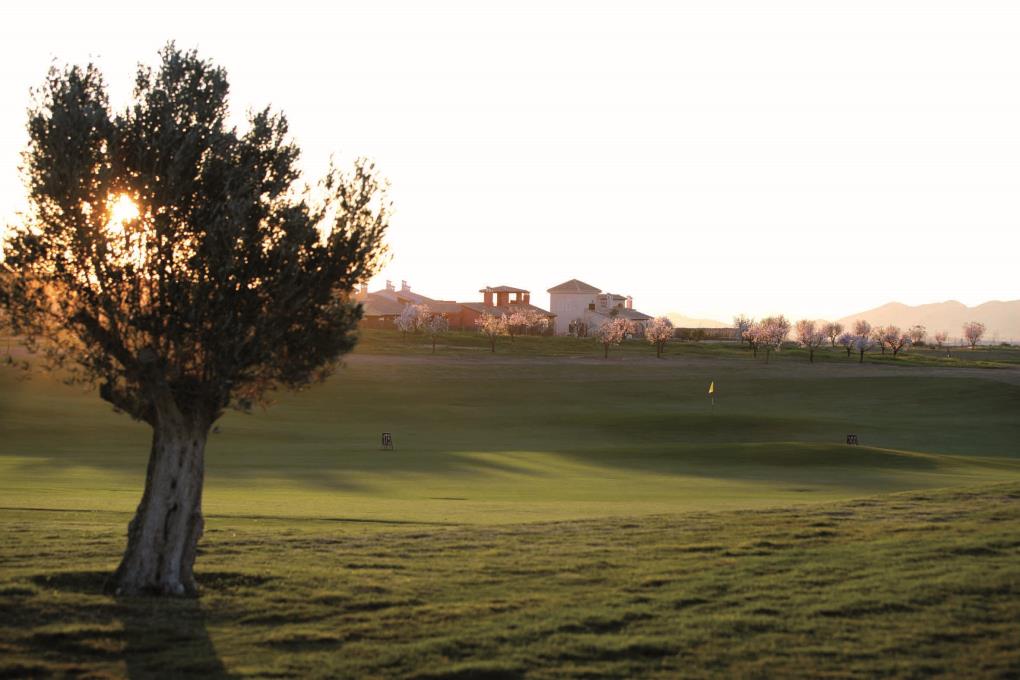 Hacienda del Alamo Golf Club