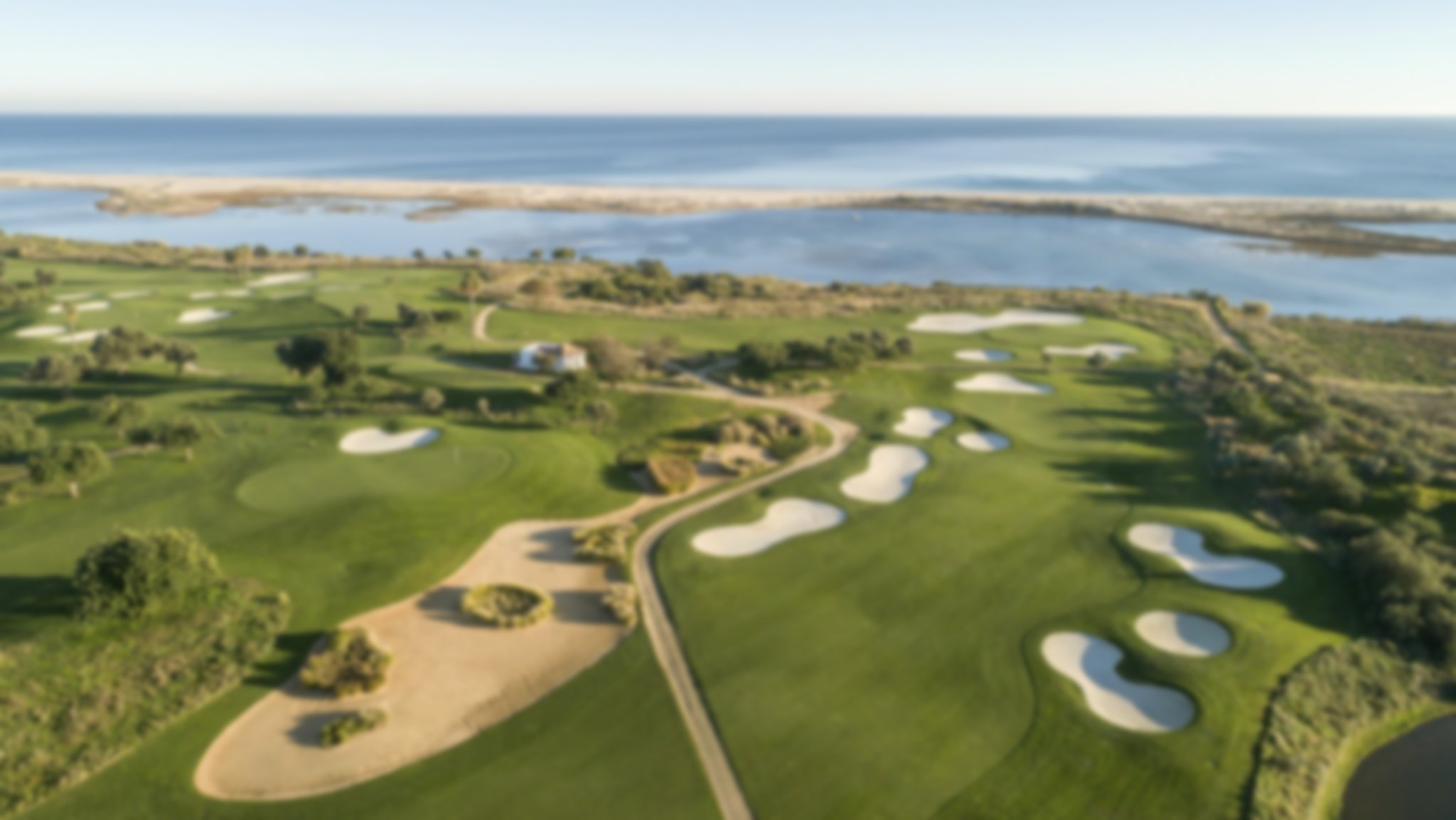 Quinta da Ria aerial shot