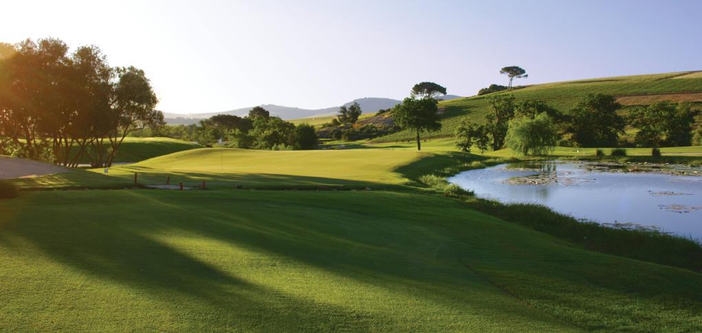 Venue - golf-de-zalze-11