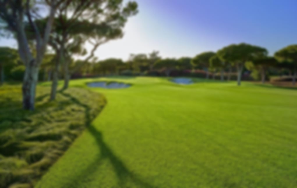 Very thick rough provides a stark contrast to the second cut beside the fairway which looks quiet forgiving 