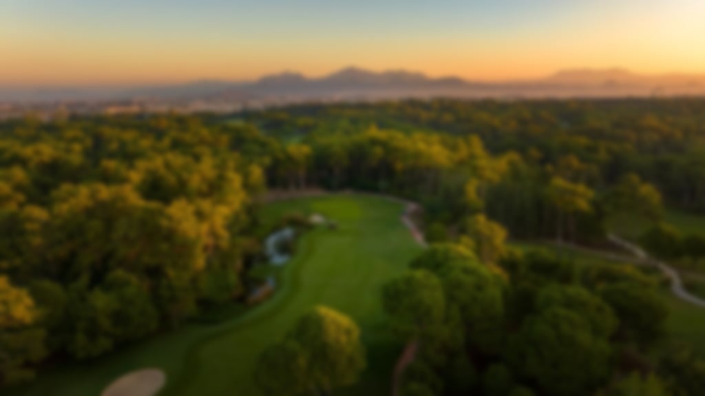 Aerial view of National Golf Club surrounded by woodland with mountains in the distance