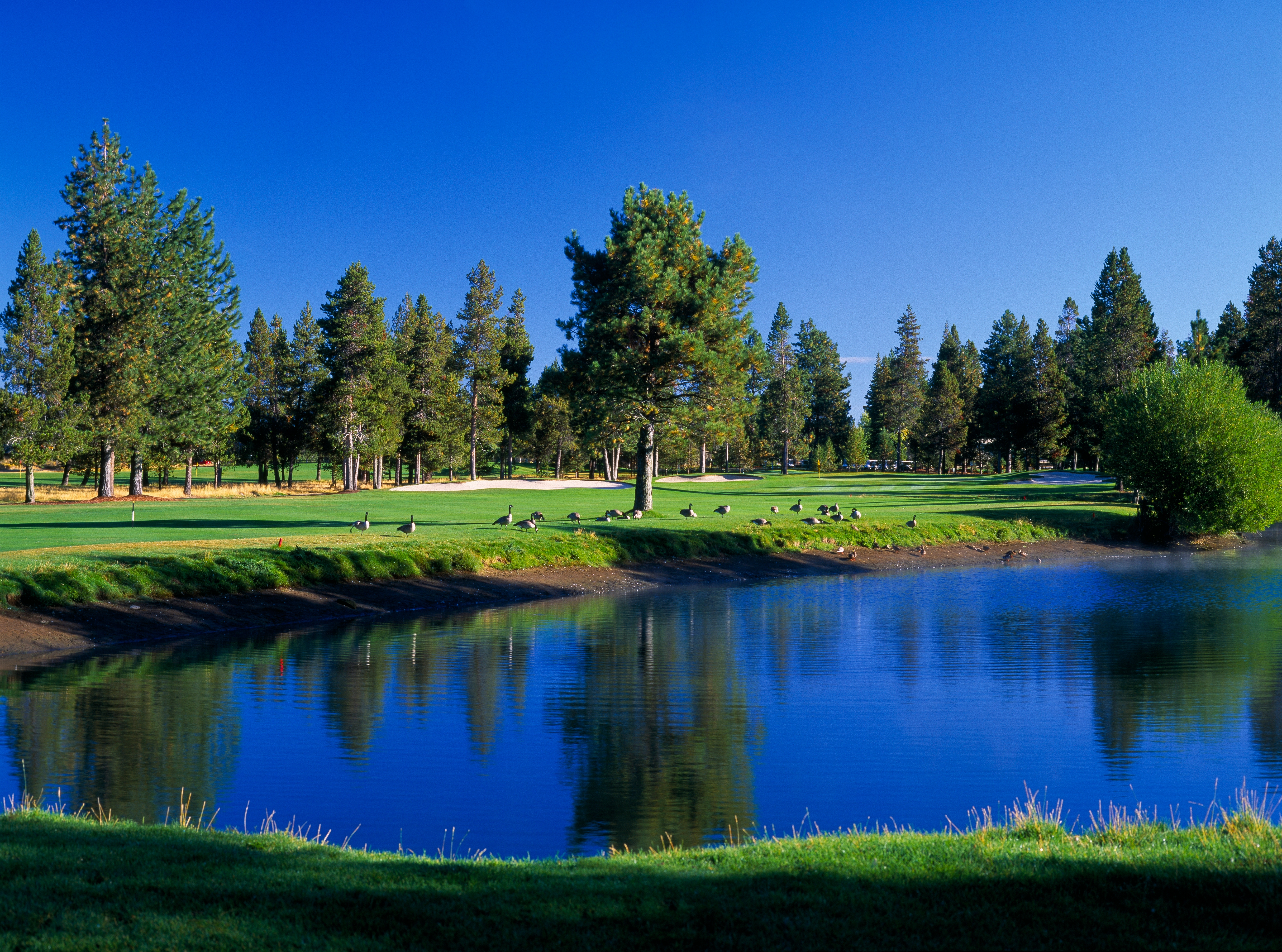 Exclusive Deals & Packages at Woodlands Golf Course Oregon
