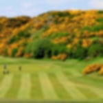 Venue - hotel-du-vin-edinburgh : braids-100