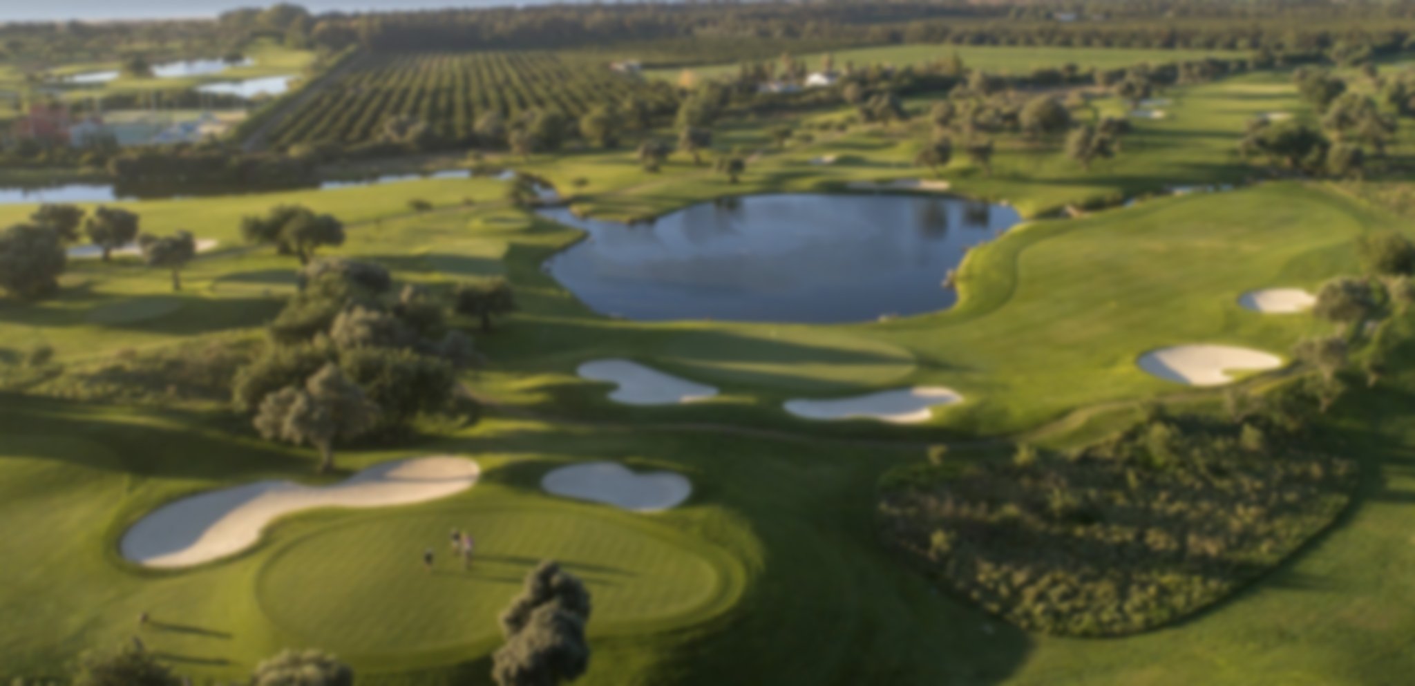 Quinta da Cima Aerial shot
