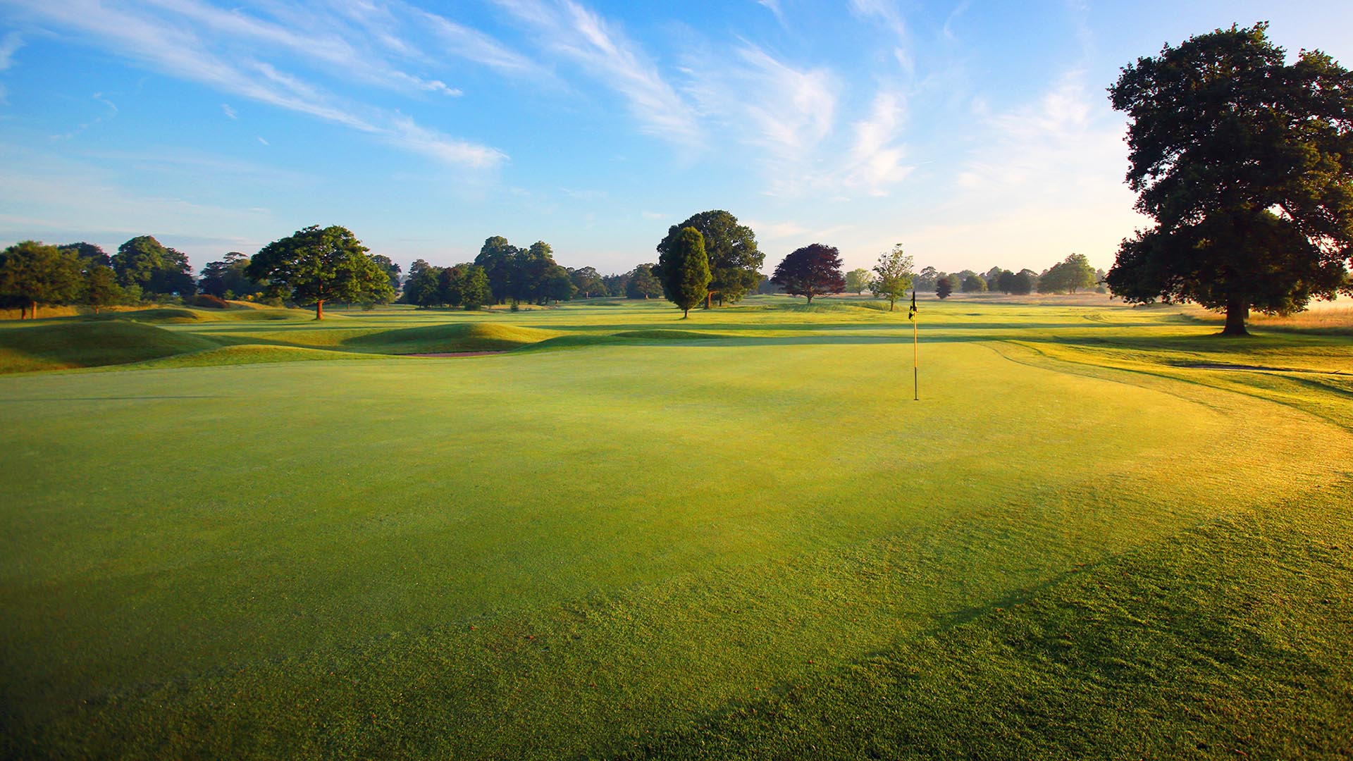 Beautiful blue skies over a large pristine green