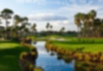 Golf course - champion-course-pga-national : pga-national-resort