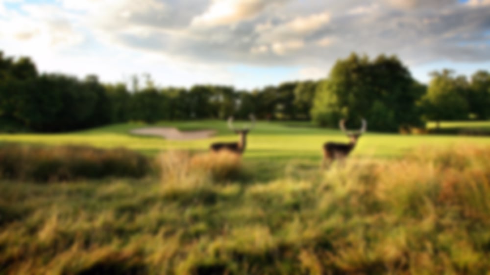 Marriott-UK-Golf-Resorts-Forest-of-Arden.jpg