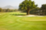 Golf course - springfield-royal-country-club : mg7962