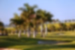 Meloneras Golf by Lopesan