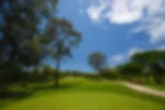 Venue - old-course-912048x1365