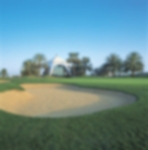 The well protected 8th green at Emirates Golf Course Majlis (DA)