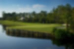 Venue - saddlebrook-resort : palmer-hole-5