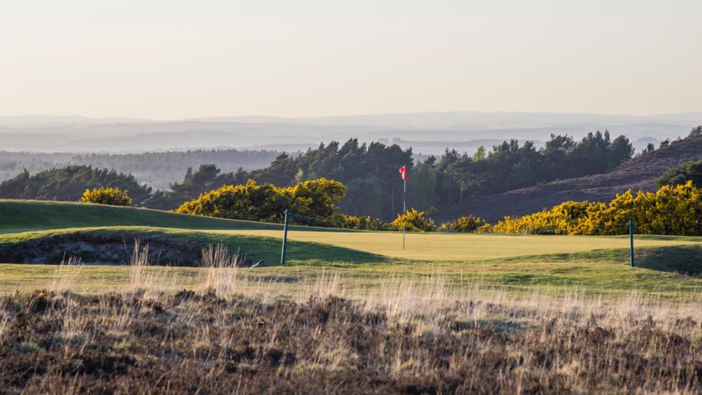 Bournemouth Golf & Nightlife Tour