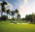 JOIA Rose Hall by Iberostar