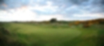 Venue - prince-of-wales : royal-birkdale-13th-panorama11031x462